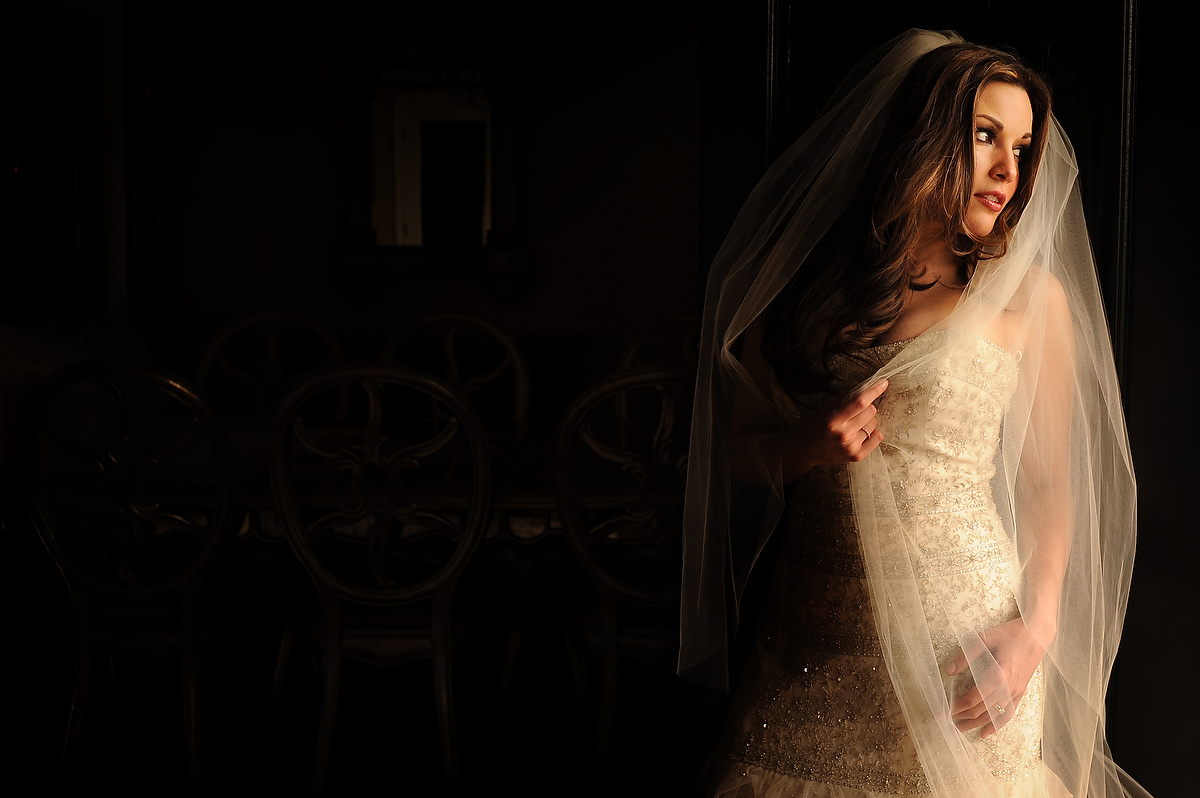 elegant portrait of a bridre posing for her portrait in laredo tx
