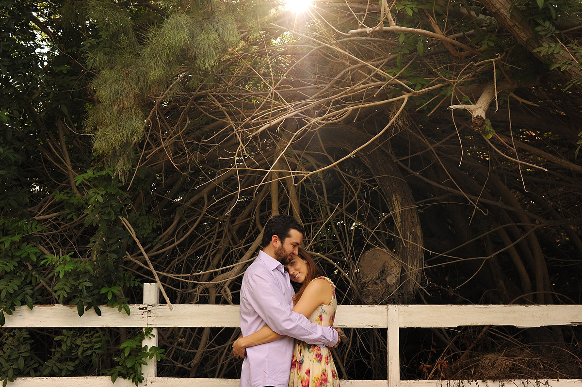 an engaged couple is huging under a tree in south texas